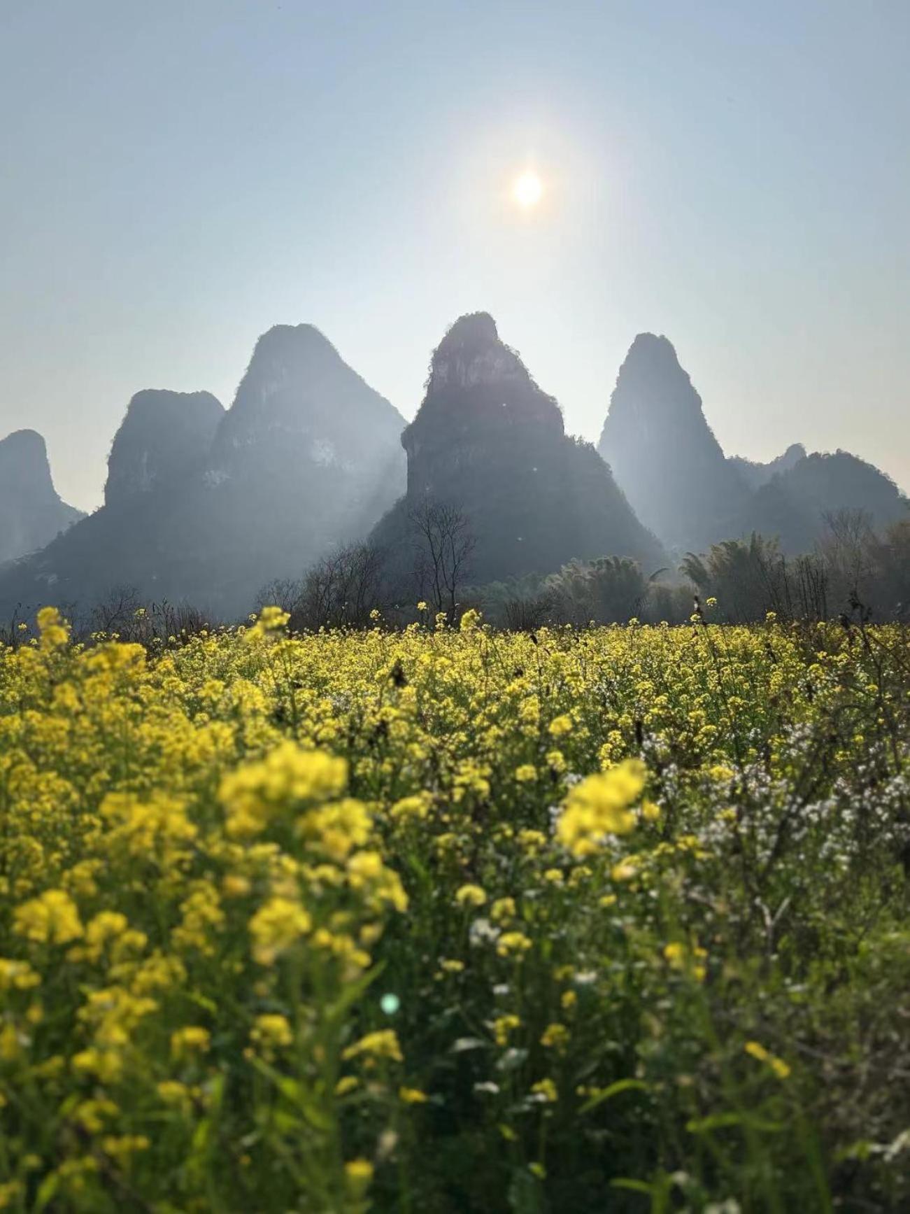 Li-River Island Resort Xingping يانغتشو المظهر الخارجي الصورة