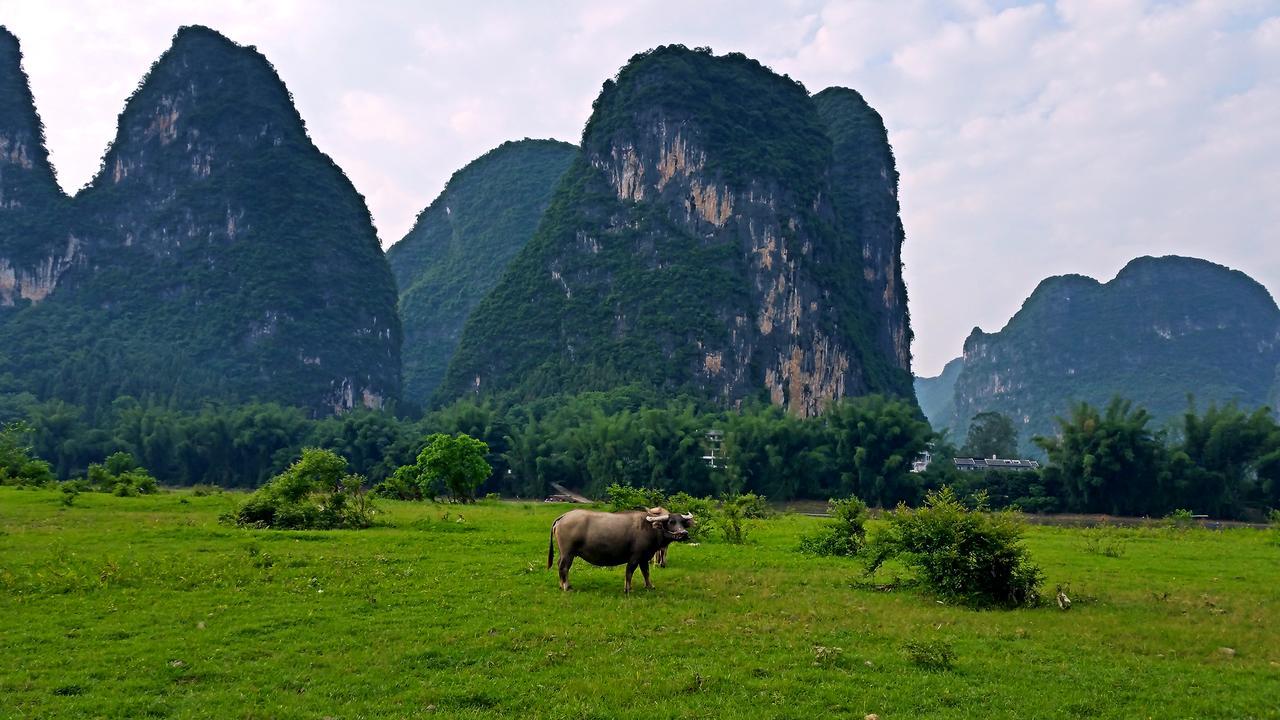 Li-River Island Resort Xingping يانغتشو المظهر الخارجي الصورة